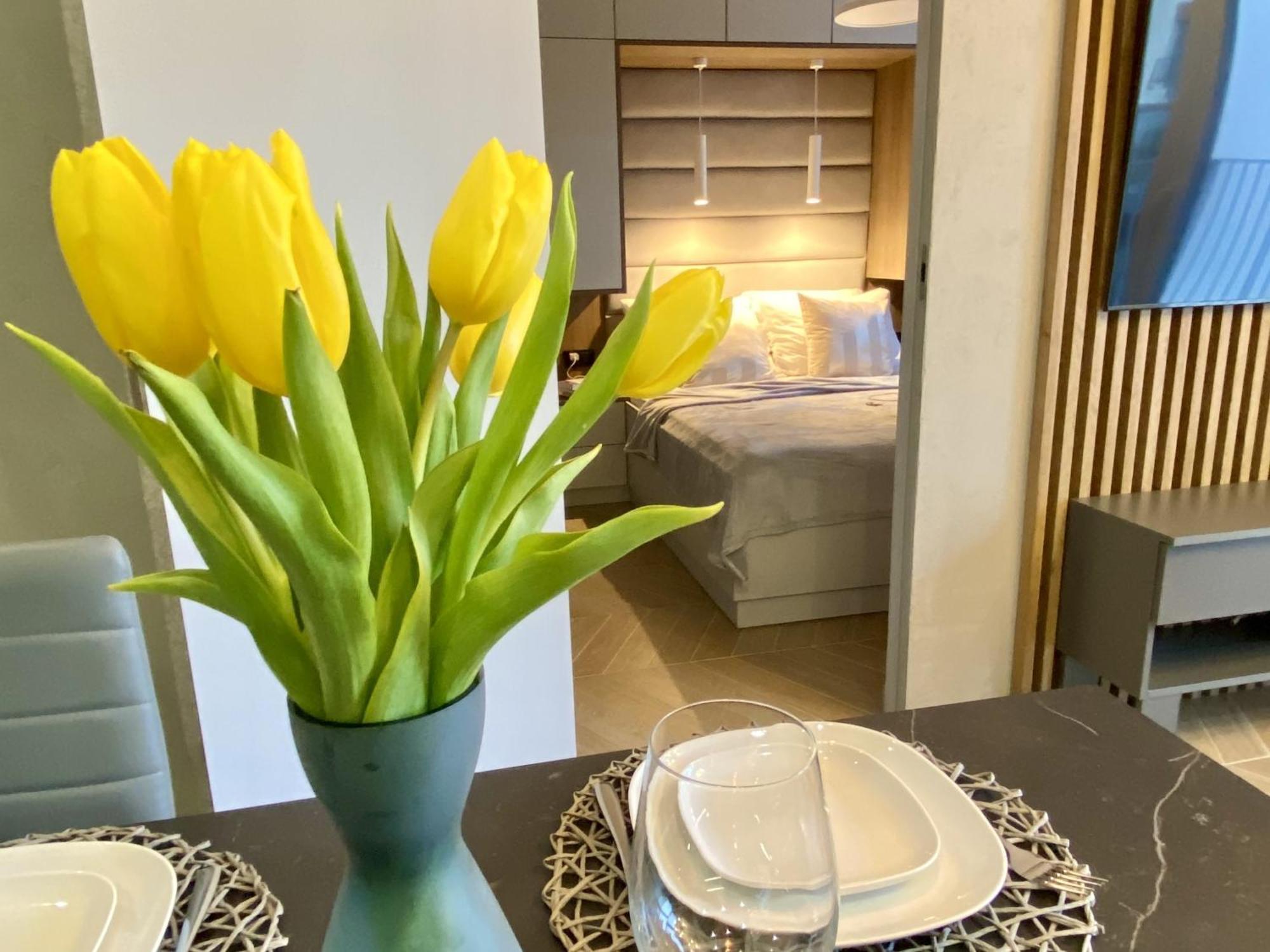 Apartamento Grey House + Free Parking *